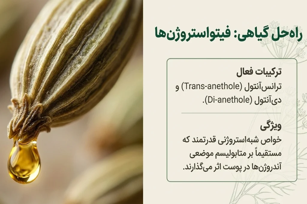 تأثیر آنتول رازیانه بر موهای زائد