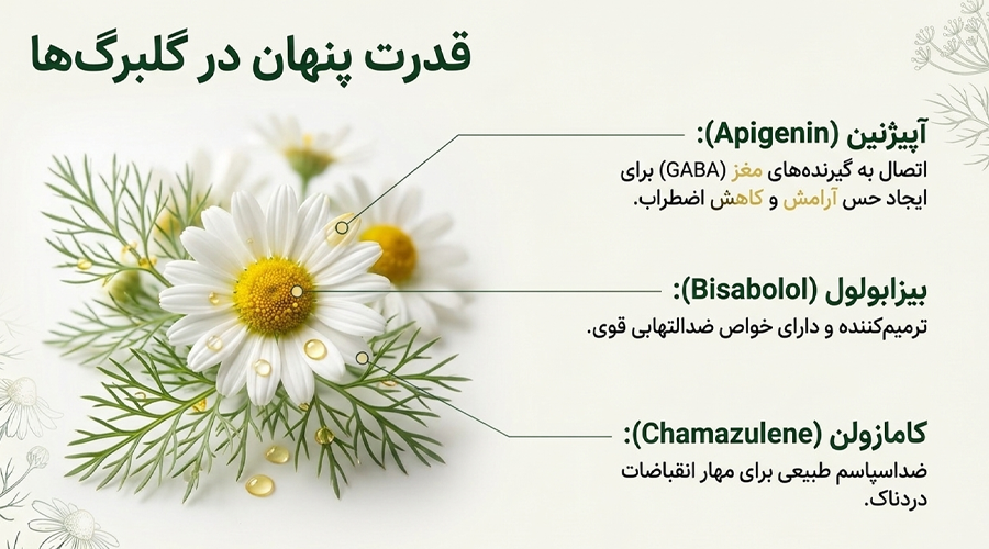 ترکیبات التیام بخش روغن بابونه برای دردهای رحمی وزیر شکمی در دوران pms  و پریودی