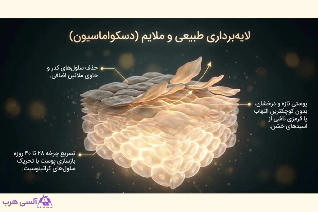 استفاده از روغن هسته آلبالو برای لایه برداری پوست و از بین بردن سلول های کدر پوستی و در نتیجه ایجاد پوستی روشن تر