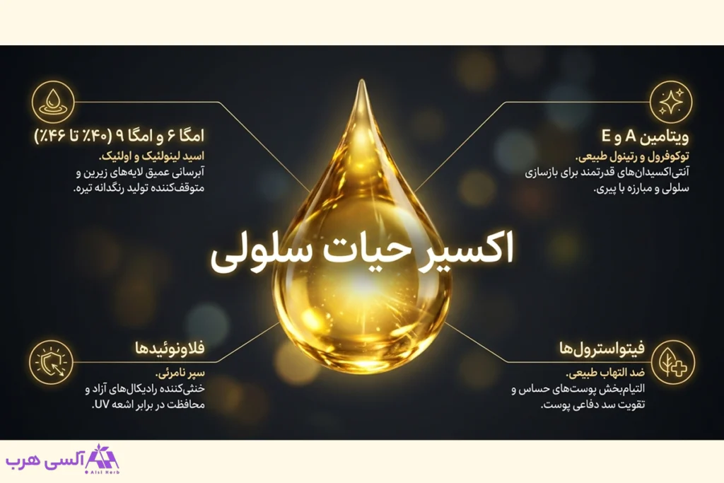 ترکیبات روغن هسته آلبالو و نقش هریک در روشن شدن پوست