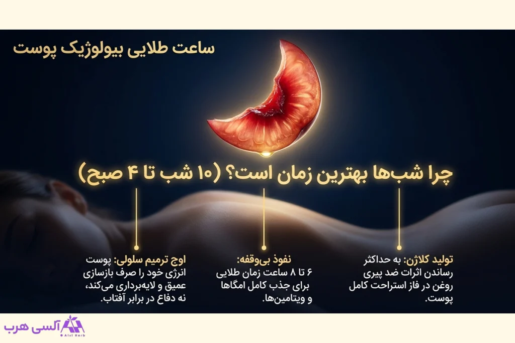 بهترین زمان استفاده از روغن هسته آلبالو در روتین مراقبت پوستی برای روشن شدن لک ها و تیرگی های پوست