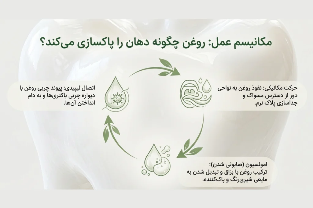 استفاده روزانه از روغن نارگیل برای برای تمیز کردن دندان ها و سلامت لئه