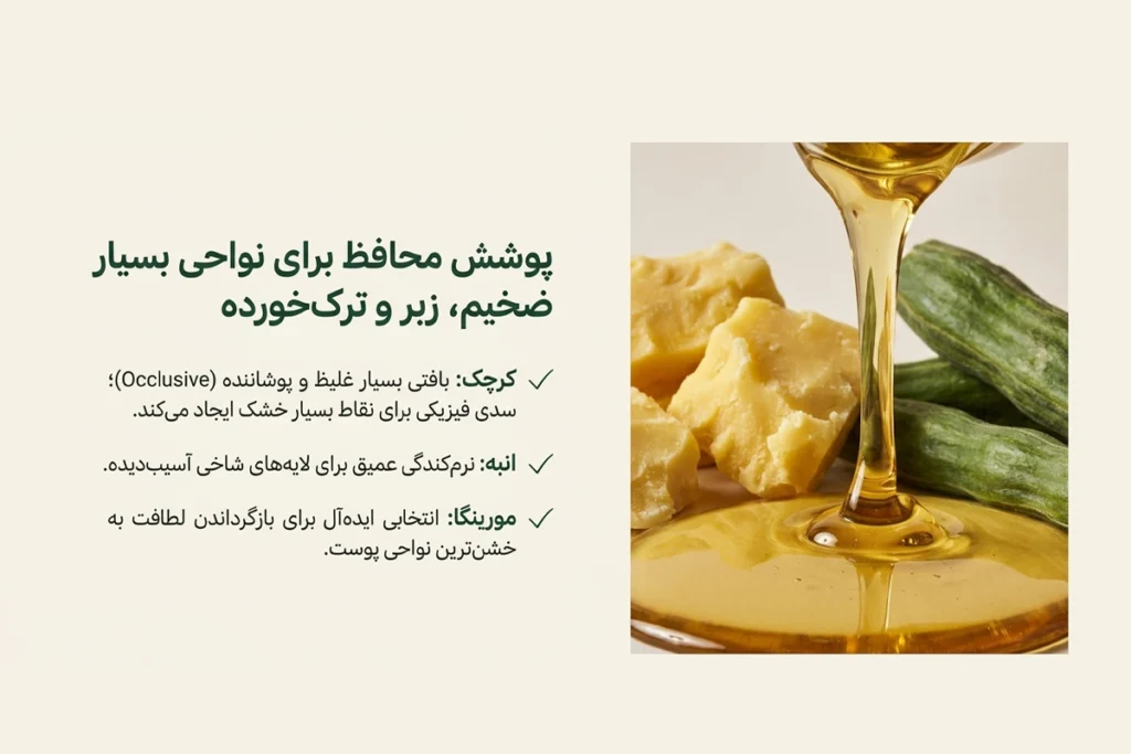 روغن انبه و کرچک و مورینگا به عنوان بهترین روغن های گیاهی برای خارش پوست  زبر و ترک خورده