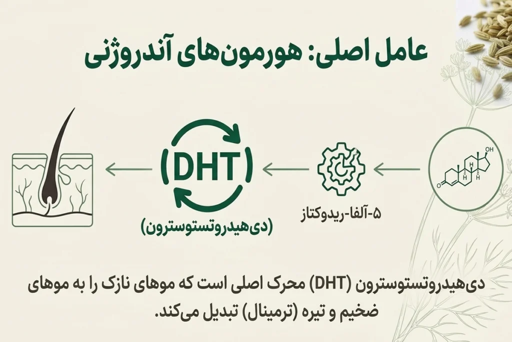 روغن رازیانه برای کاهش موهای زائد ناشی ازهورمون آندروژن