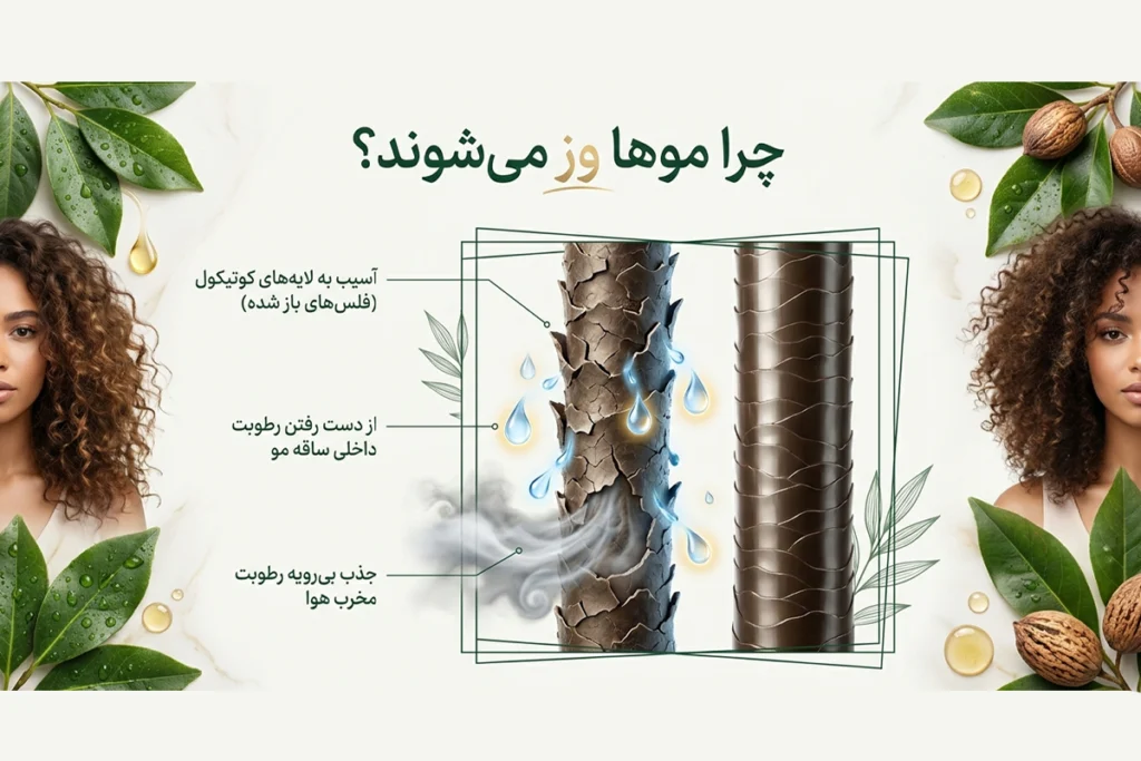 بررسی دلایل وز شدن مو و نقش روغن های گیاهی و طبیعی در از بین بردن آن