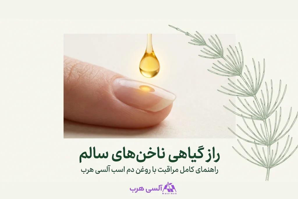 خواص روغن دم اسب برای ناخن؛ راهنمای کامل مراقبت از ناخنهای شکننده • مهر ۱۷ام, ۱۴۰۵ بررسی خواص روغن دم اسب برای مشکلات ناخن، کوتیکول و پوست اطراف ناخن