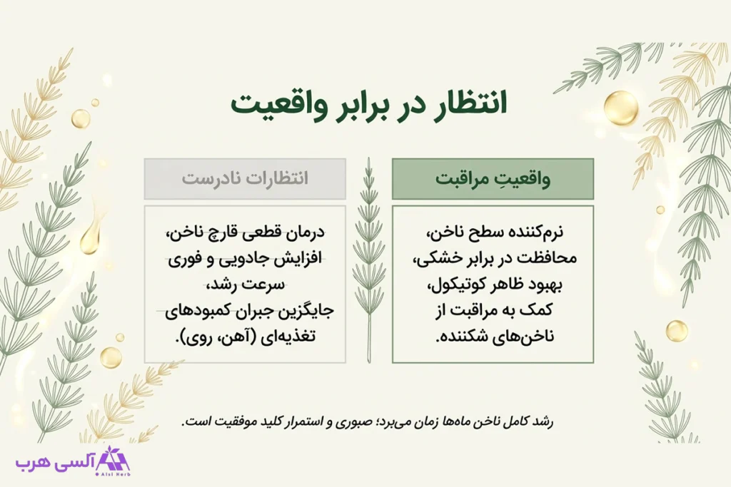 خواص روغن دم اسب برای ناخن؛ راهنمای کامل مراقبت از ناخنهای شکننده • مهر ۱۷ام, ۱۴۰۵ روغن دم اسب برای مراقبت طبیعی از ناخن