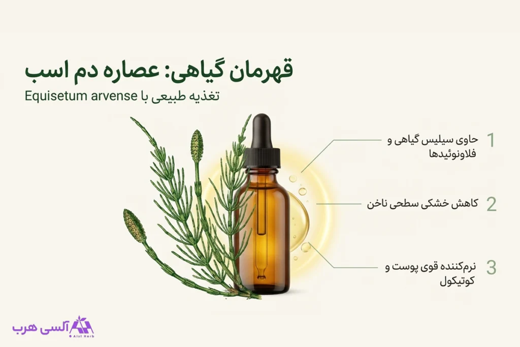 خواص روغن دم اسب برای ناخن؛ راهنمای کامل مراقبت از ناخنهای شکننده • مهر ۱۷ام, ۱۴۰۵ کاربرد روغن دم اسب و ترکیباتش در مراقبت از ناخن