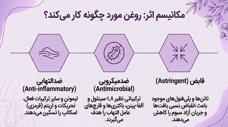روغن مورد برای پوست سر چرب ؛ بررسی علمی و نحوه استفاده صحیح • مهر ۱۷ام, ۱۴۰۵ خواص روغن مورد برای اسکالپ چرب