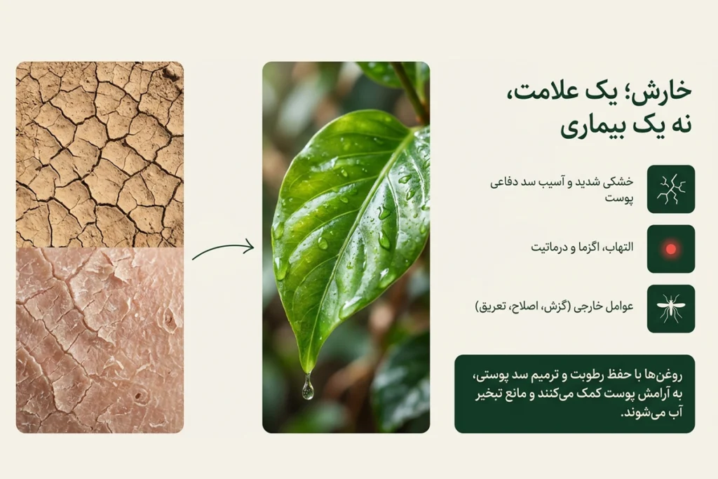 بررسی علل خارش پوست و انتخاب روغن گیاهی مناسب برای هر علت