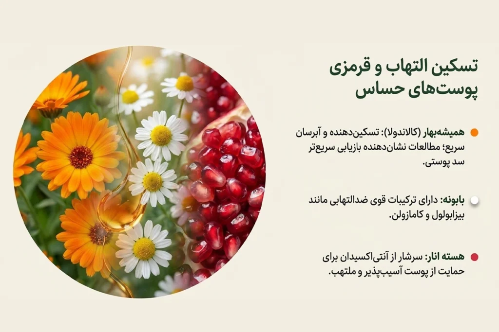 روغن همیشه بهار و بابونه برای التیام خارش پوست