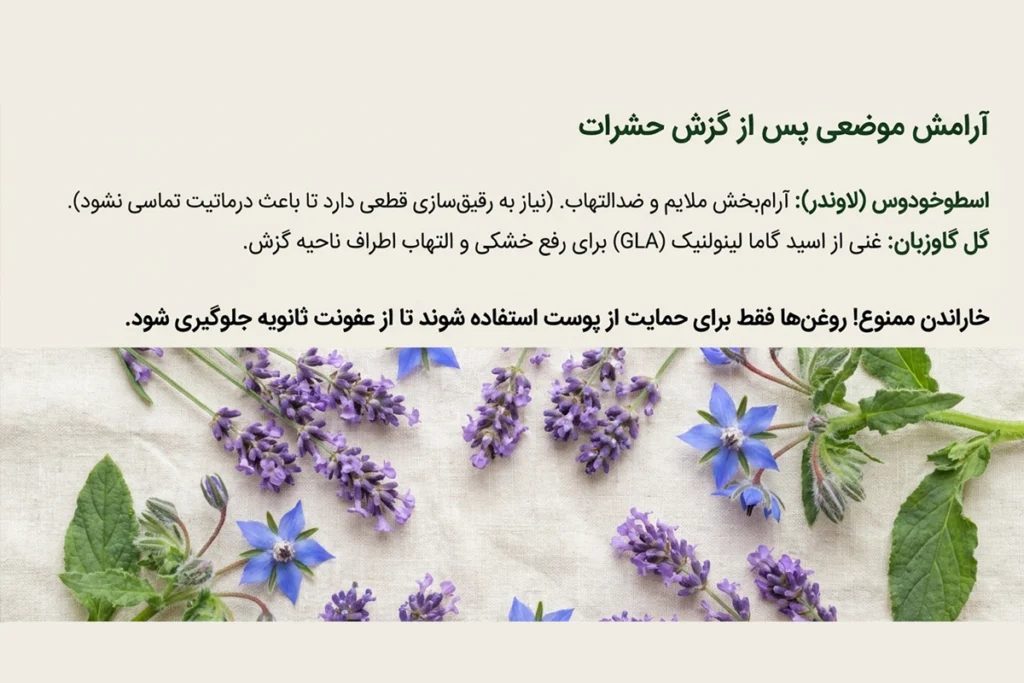 روغن اسطوخودوس و گل گاو زبان به عنوان بهترین روغن های گیاهی برای خارش پوست ناشی از گزش حشرات