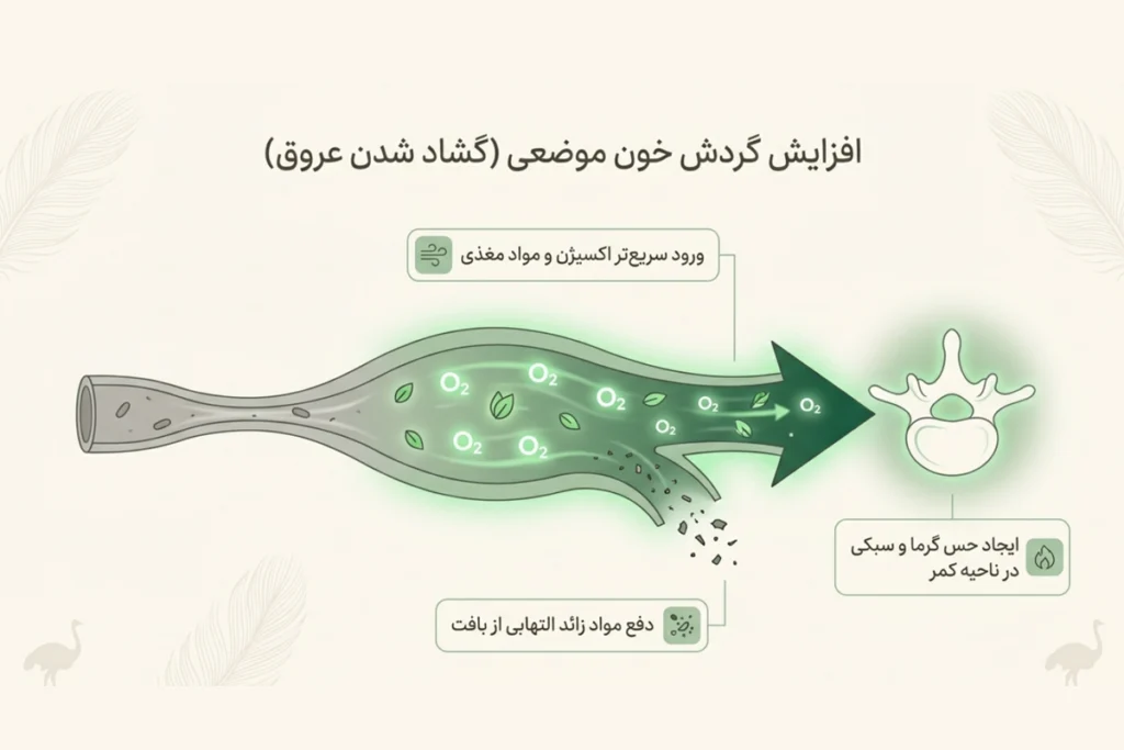 روغن شترمرغ برای گرفتگی عضلات کمر