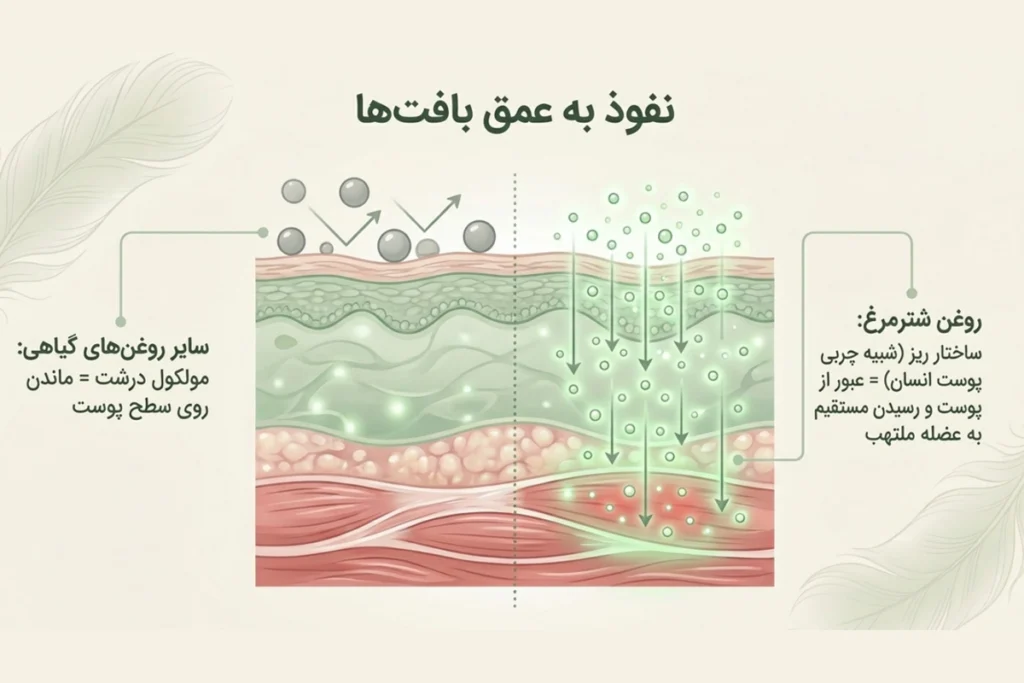 استفاده موضعی از روغن شترمرغ برای کمر