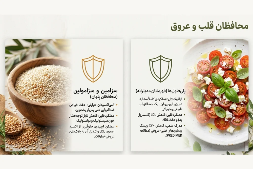 مقایسه تأثیر روغن کنجد و روغن زیتون بر قلب