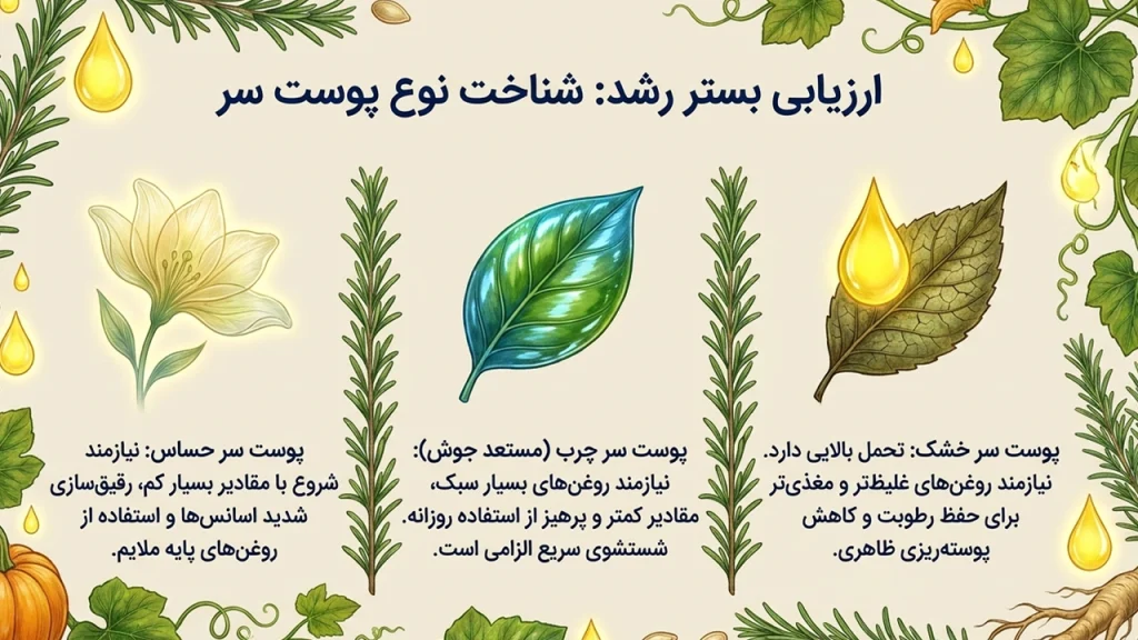 روغنهای گیاهی برای آلوپسی؛ راهنمای کامل استفاده از ۸ روغن برای تقویت پوست سر و کاهش ریزش مو • آبان ۲ام, ۱۴۰۵ بررسی انواع پوست سر و انتخاب روغن مناسب برای هر کدام برای مشکل آلوپسی و ریزش مو