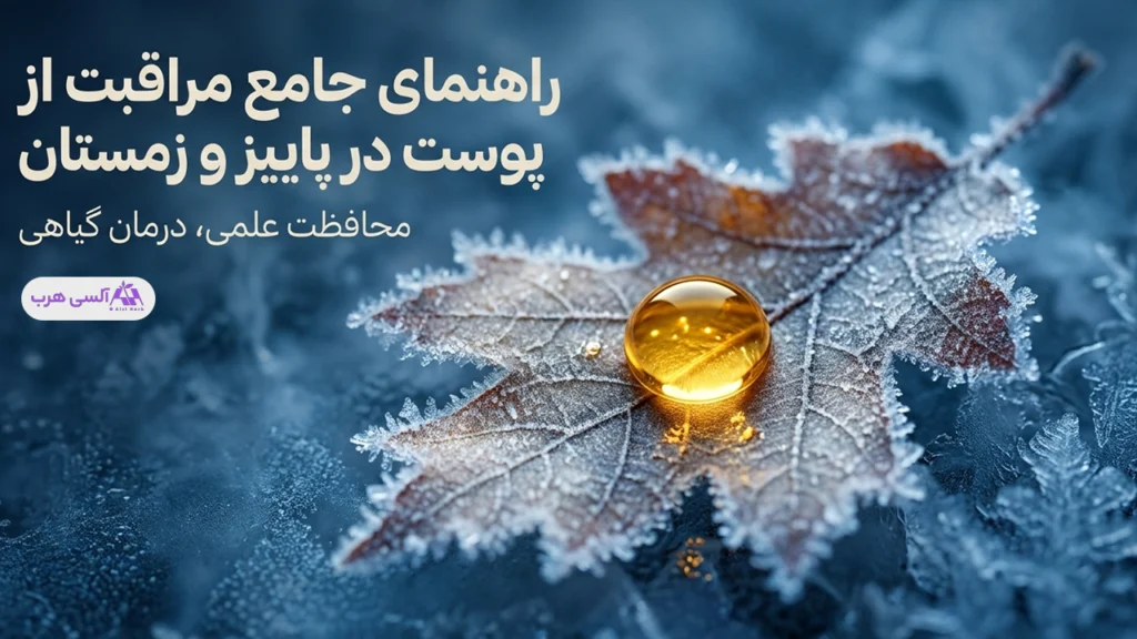 راهنمای کامل مراقبت از پوست در پاییز و زمستان با روغن‌های گیاهی و مرطوب‌کننده‌ها