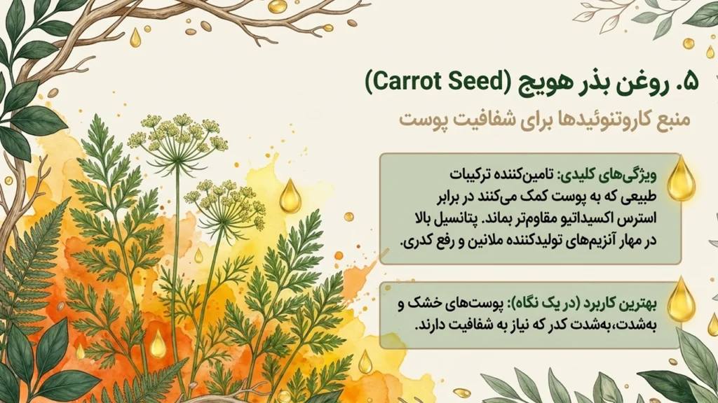 روغن بذر هویج برای کاهش ظاهر لک و کک و مک