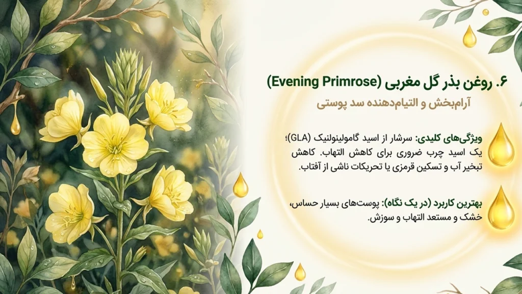 روغن بذر گل مغربی برای کک و مک و تقویت سد پوستی