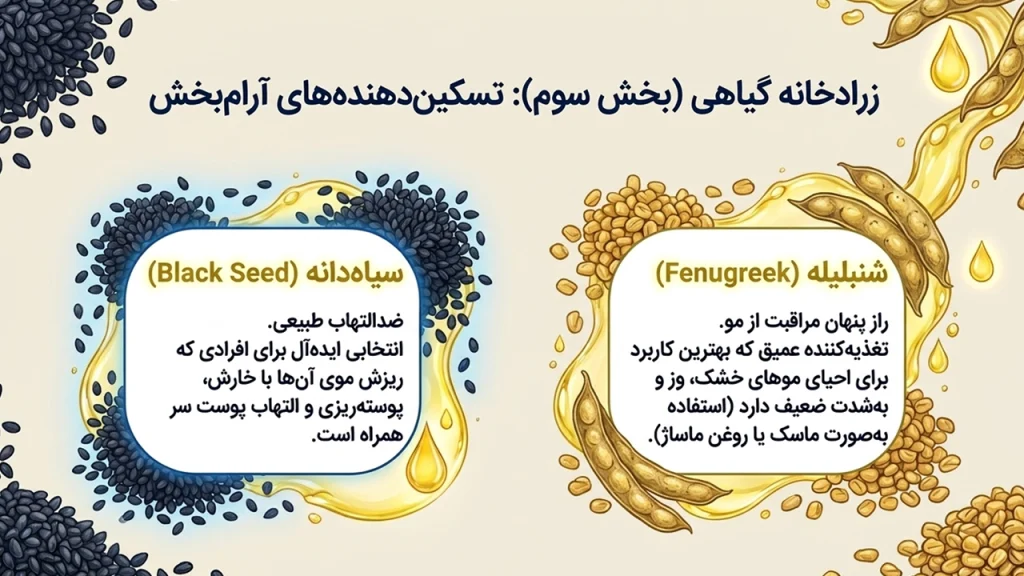 روغنهای گیاهی برای آلوپسی؛ راهنمای کامل استفاده از ۸ روغن برای تقویت پوست سر و کاهش ریزش مو • آبان ۲ام, ۱۴۰۵ خواص روغن شنبلیله و سیاهدانه برای آلوپسی و ریزش مو
