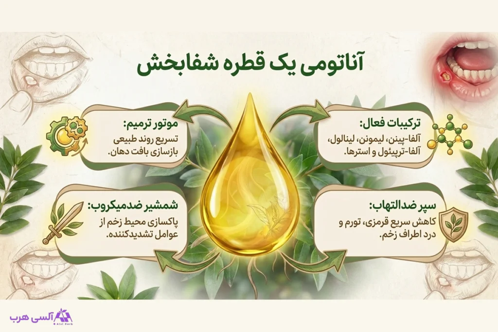 روغن مورد برای آفت دهان: روشی سنتی با پشتوانه علمی که بسیاری از آن نتیجه گرفتهاند • آبان ۳ام, ۱۴۰۵ خواص روغن مورد برای آفت دهان و کمک به تسکین درد ناشی از آن