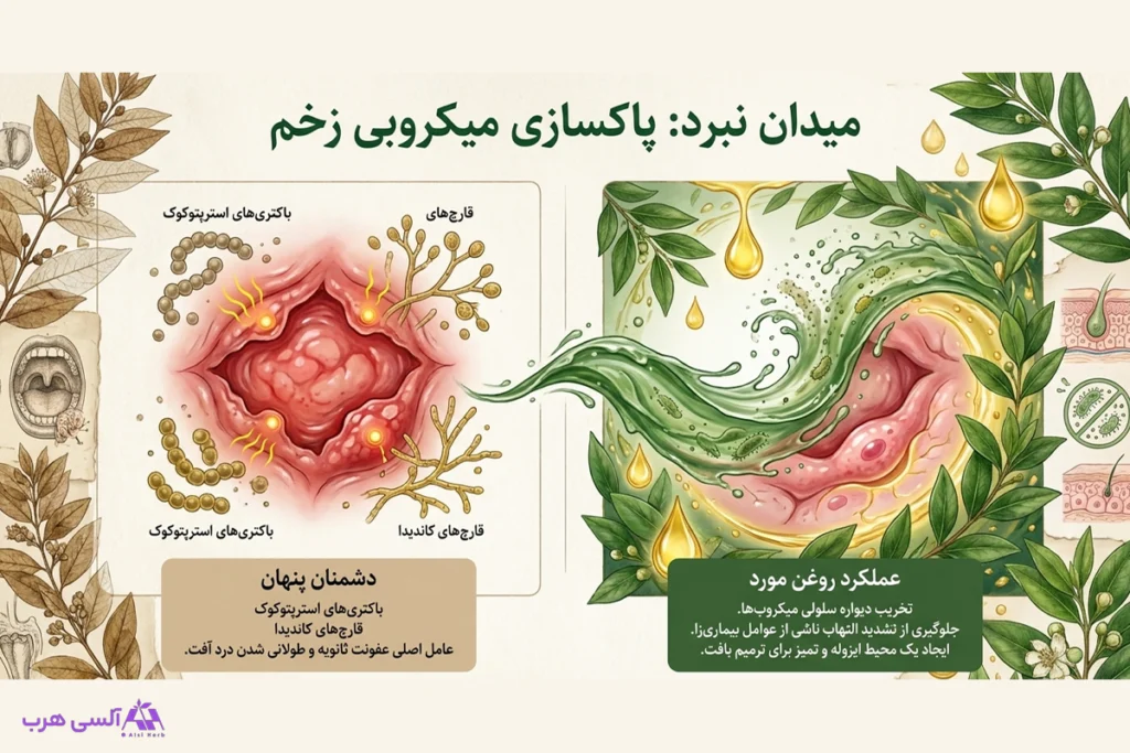 روغن مورد برای آفت دهان: روشی سنتی با پشتوانه علمی که بسیاری از آن نتیجه گرفتهاند • آبان ۳ام, ۱۴۰۵ مراقبت از زخمهای دهانی با روغن مورد