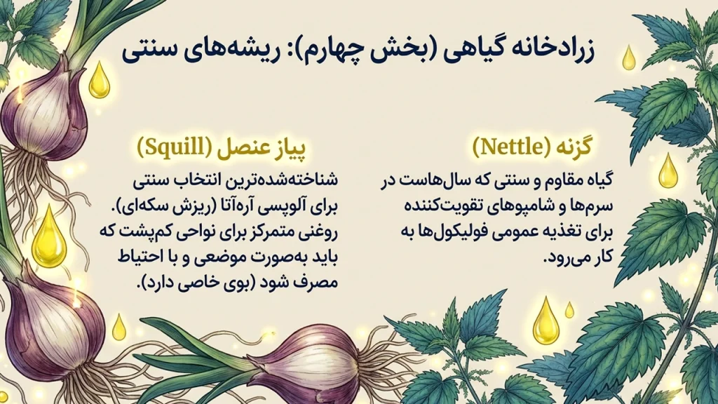 روغنهای گیاهی برای آلوپسی؛ راهنمای کامل استفاده از ۸ روغن برای تقویت پوست سر و کاهش ریزش مو • آبان ۲ام, ۱۴۰۵ فواید روغن پیاز عنصل و گزنه برای آلوپسی