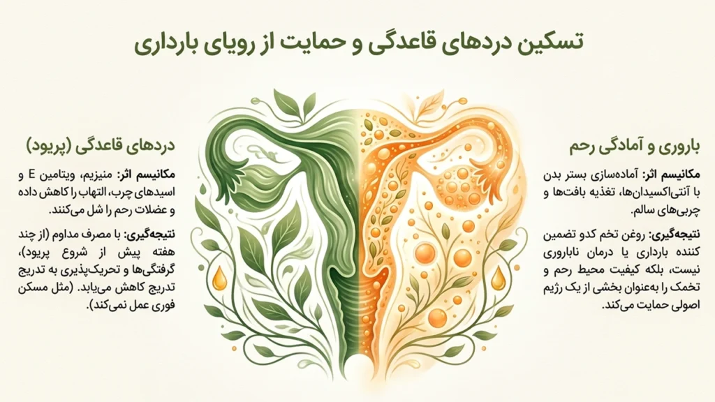فواید روغن تخم کدو برای دردهای قاعدگی زنان و افزایش کیفیت محیط رحم برای بارداری