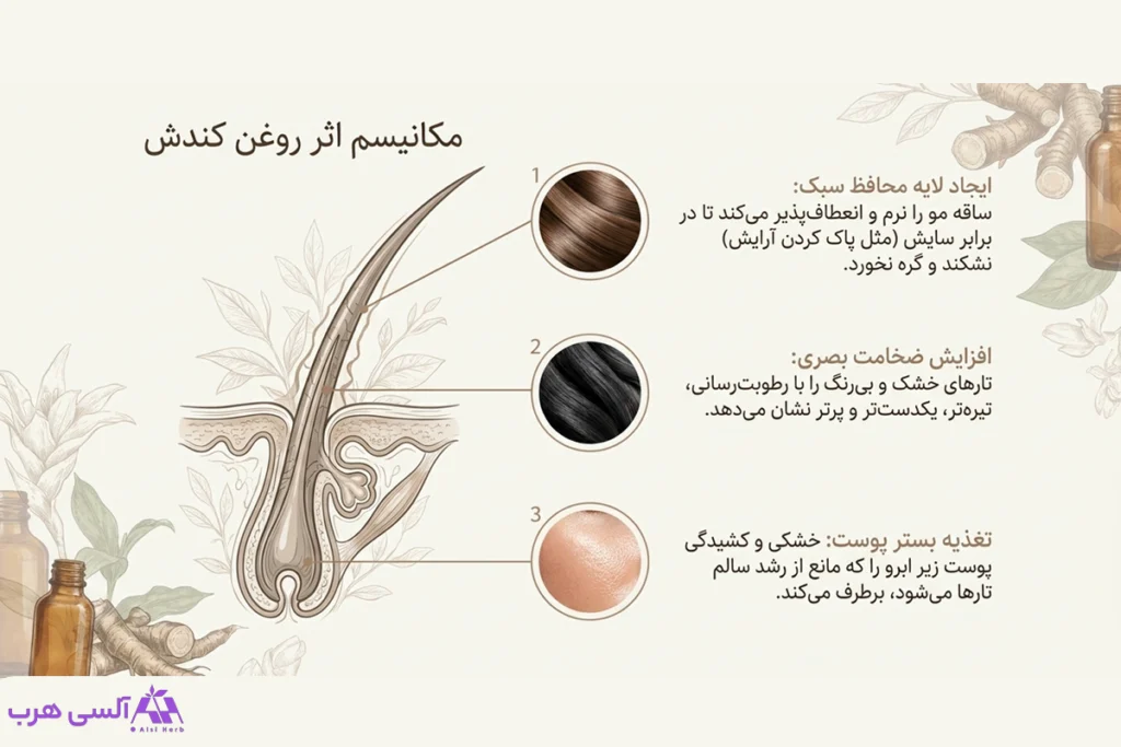 روتین مراقبتی مژه و ابرو با روغن گیاهی کندش