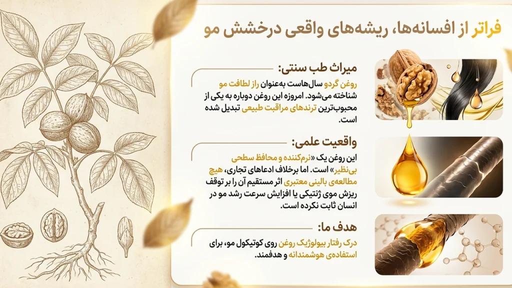 فواید واقعی روغن گردو برای مو