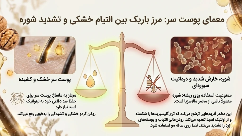 روغن گردو برای کف سر